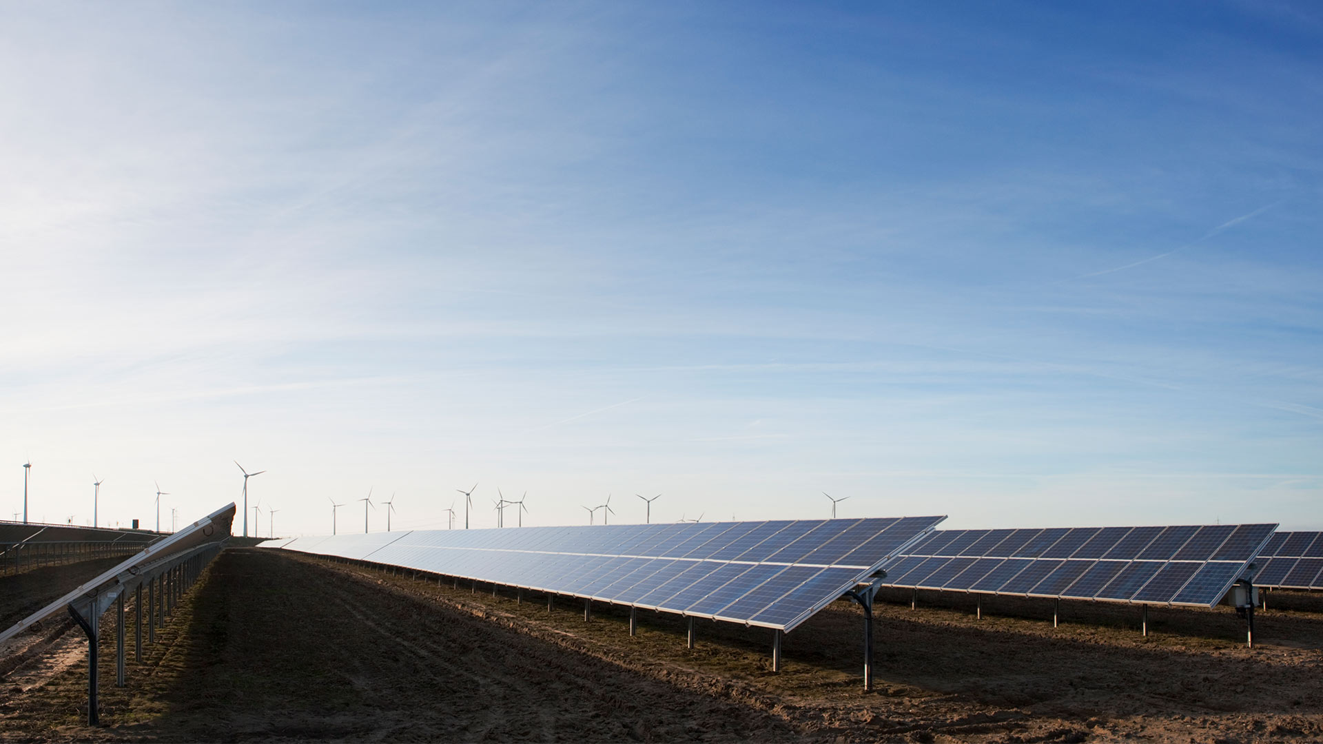 solar panels and wind turbines in a field